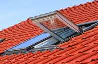Ingol roof window